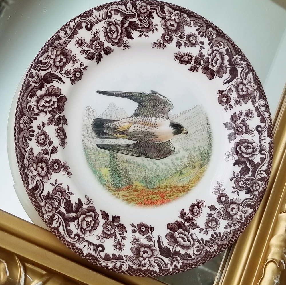 ❗Spode England Peregrine Falcon Brown Floral Rim Salad Plate 8"❗